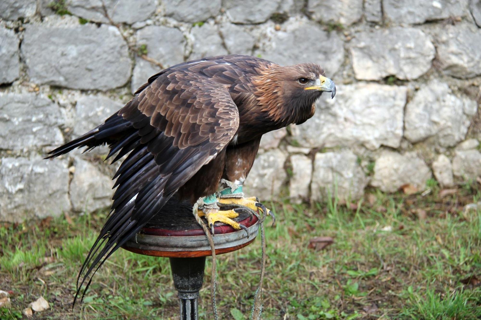 La Colombière - Montélimar Esterno foto